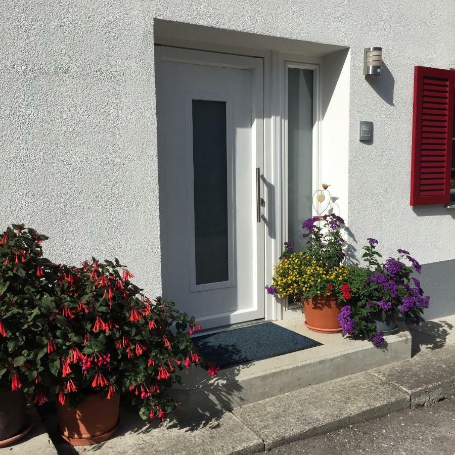 Ferienwohnungen Haus Bergflora Bach  Exterior photo